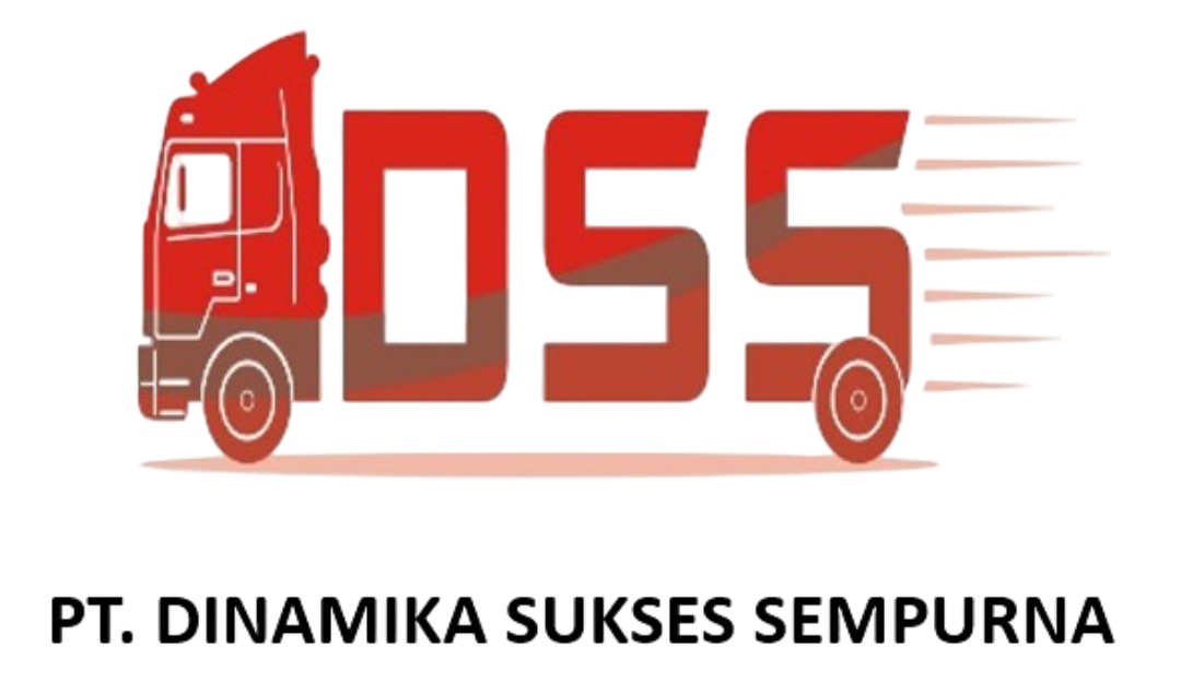 DSS Logo